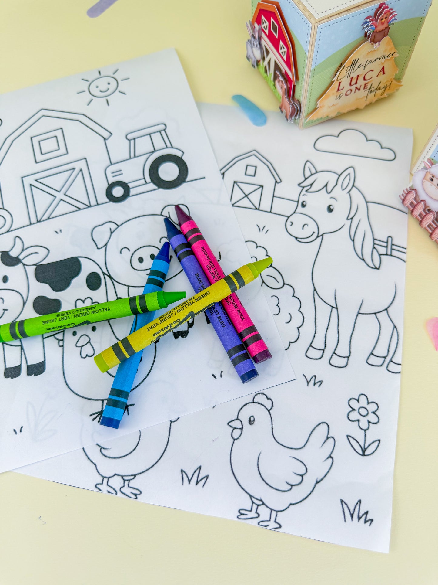 Farmyard Coloring Box